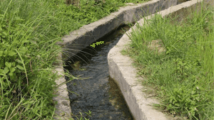 नवीनतम यान्त्रिक सिँचाइ आयोजना सञ्चालन गर्न सिँचाइ व्यवस्थापन कम्पनी