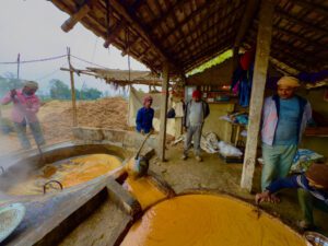 माघे संक्रान्तिको मुखमा सर्लाहीका किसानलाई सखर बनाउने चटारो: कृषक भन्छन ‘चिनी मिलको उधारो ६७५ भन्दा स्थानीय क्रसरको नगद ६०० नै प्यारो’