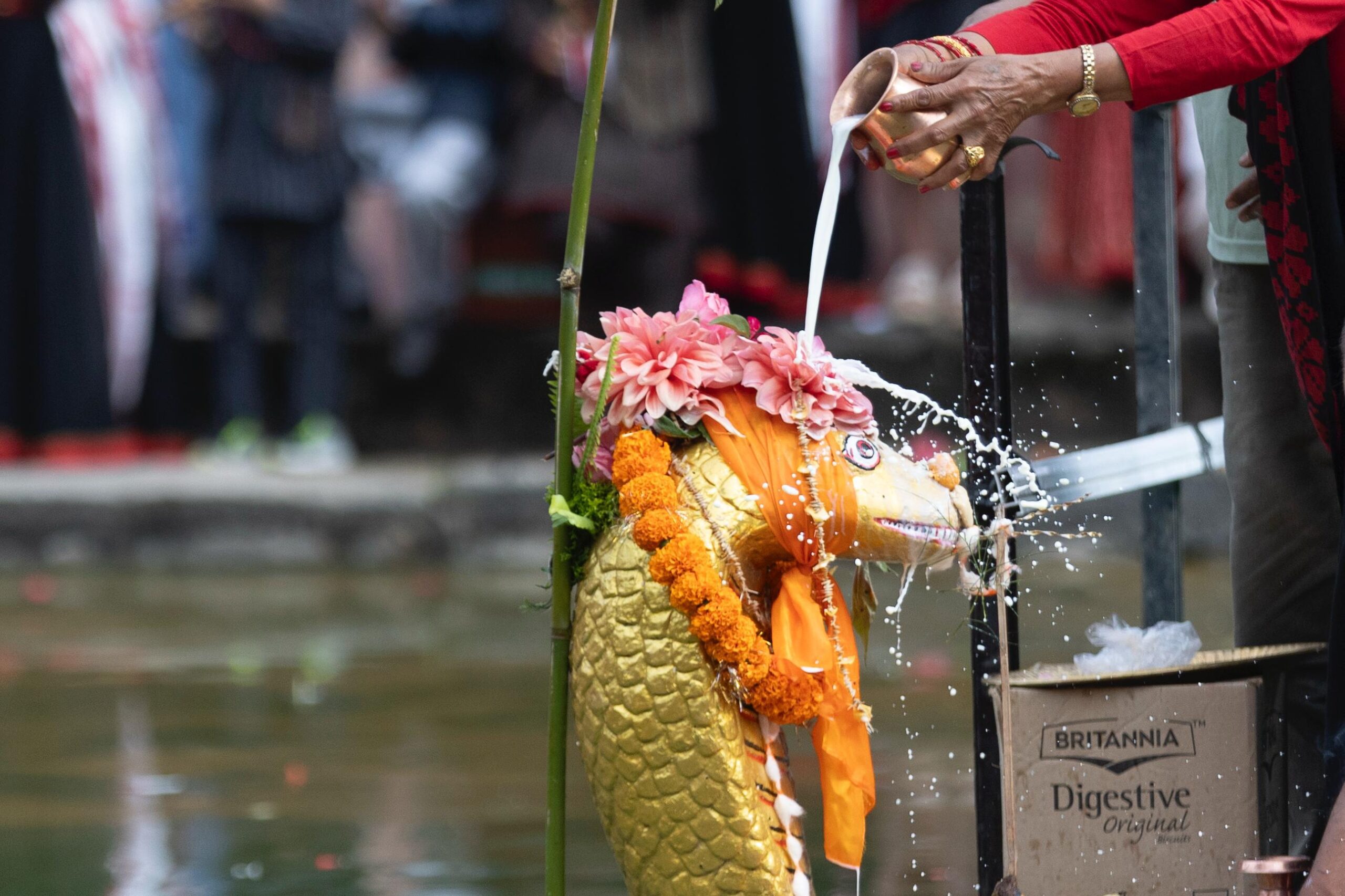 आज नागपञ्चमी, देशभर नागको पूजा तथा आराधना