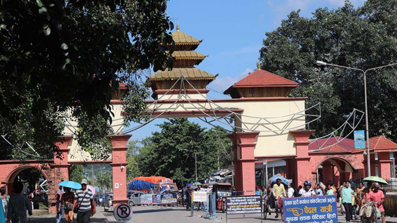 काँकडभिट्टा नाकाबाट चिया निर्यातमा गिरावट, एक वर्षमै ६४ करोड रुपैयाँ आम्दानी घट्यो