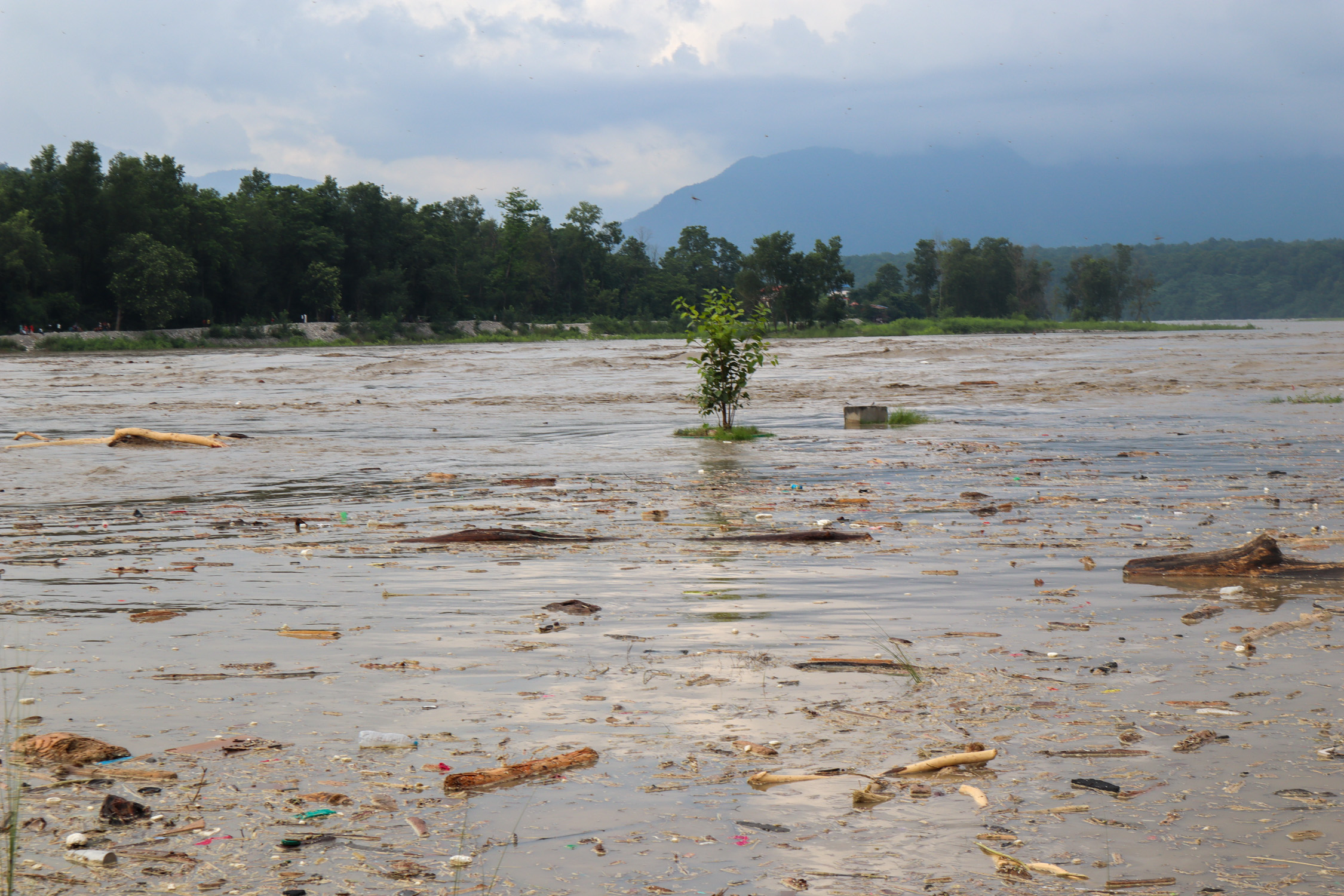 रसुवाको बाढीः त्रिशूली र नारायणी नदीमा १८ शव भेटिए