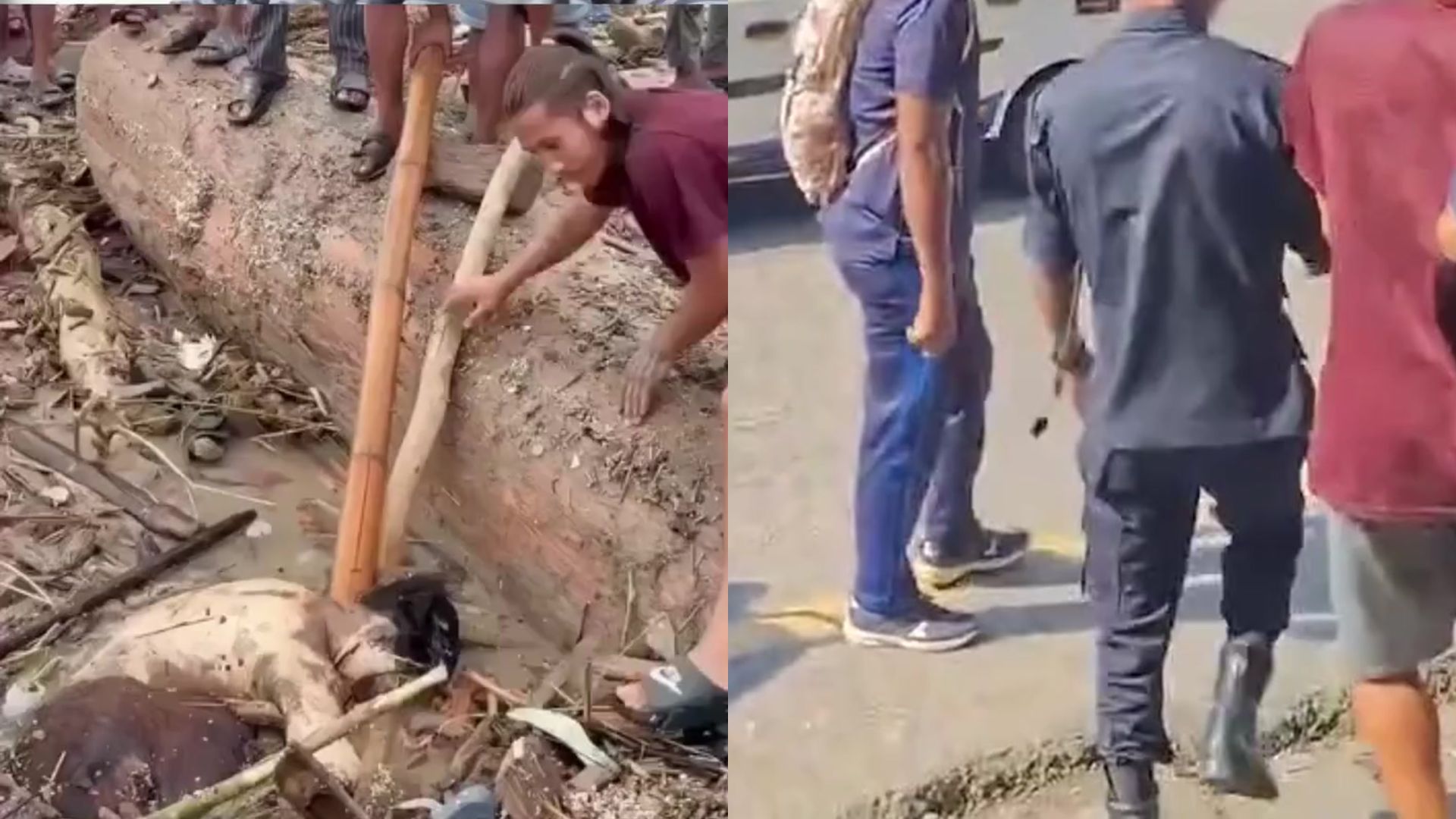 विपद्को मौका छोपेर चोरी गर्नेलाई कस्तो कार्वाही हुनसक्छ? कानूनमा के छ?