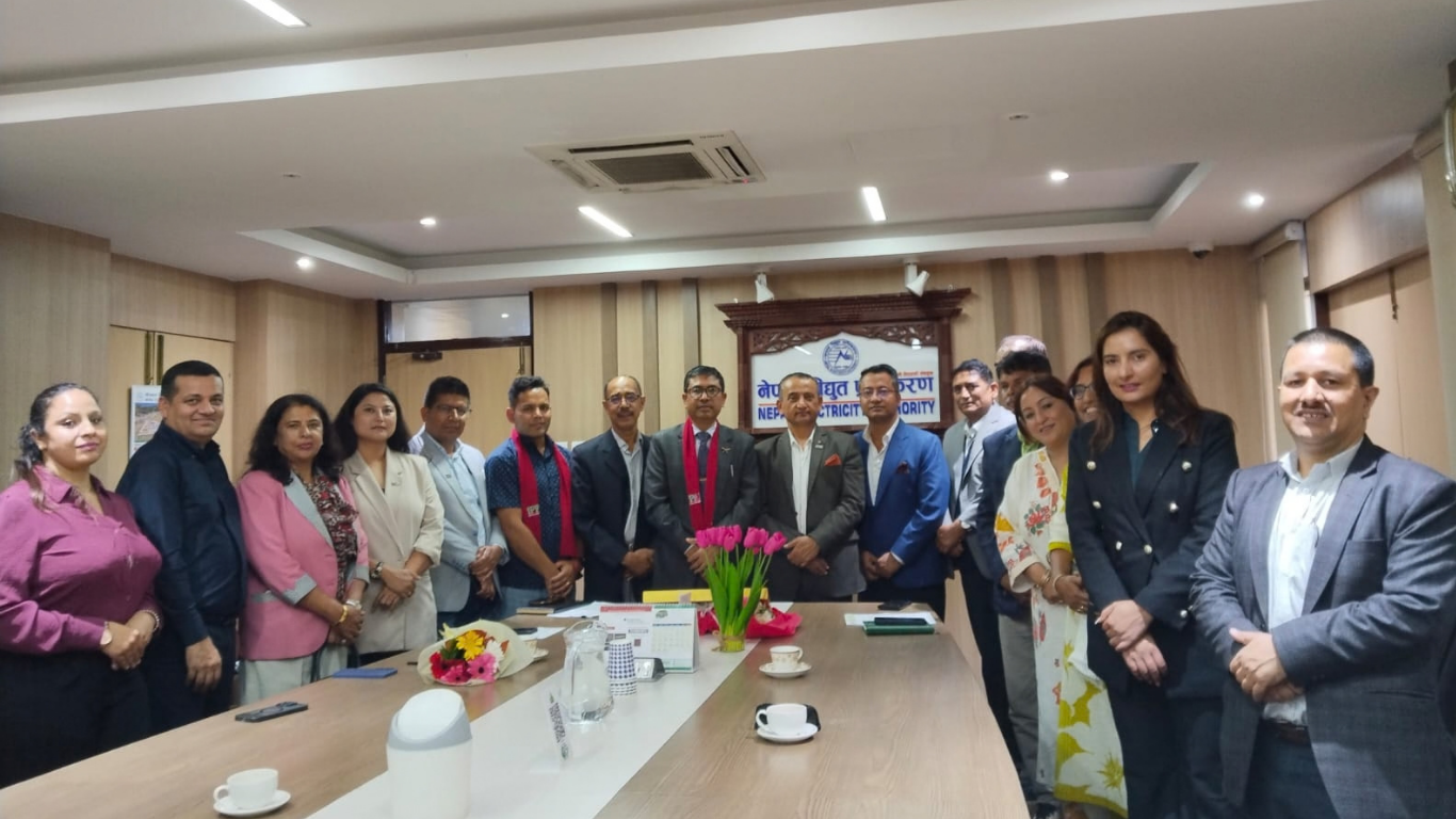 ग्रिड कनेक्सन कार्यविधि मस्यौदामा इप्पानको असहमति, १९ बुँदे संशोधन प्रस्ताव